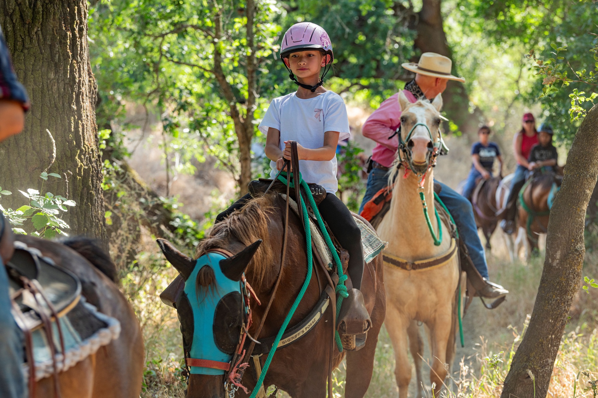 Source-feed image associated with All the Free Nature Events at California State Parks Near You This Week