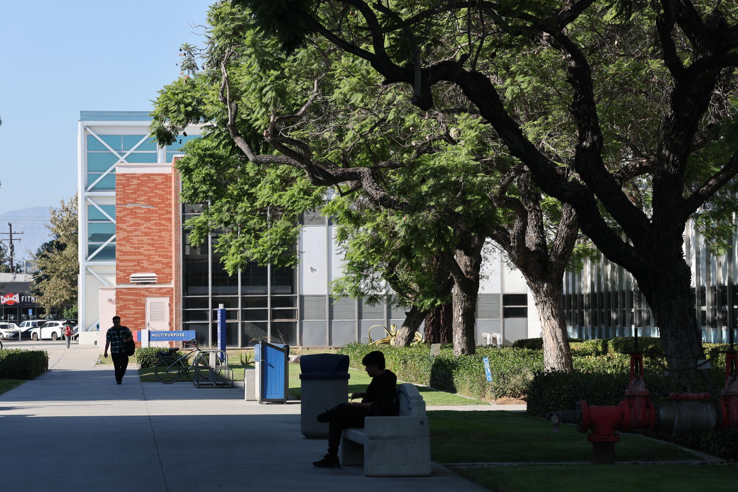 Source-feed image associated with Community colleges will be able to grant more bachelor's degrees under law signed by Newsom