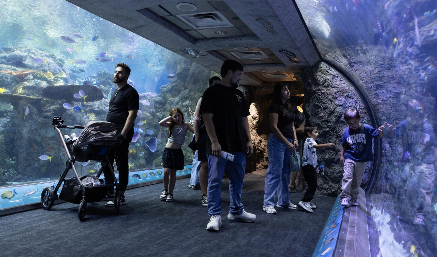 Source-feed image associated with Long Beach aquarium takes in at least 500 animals rescued from wildlife traffickers