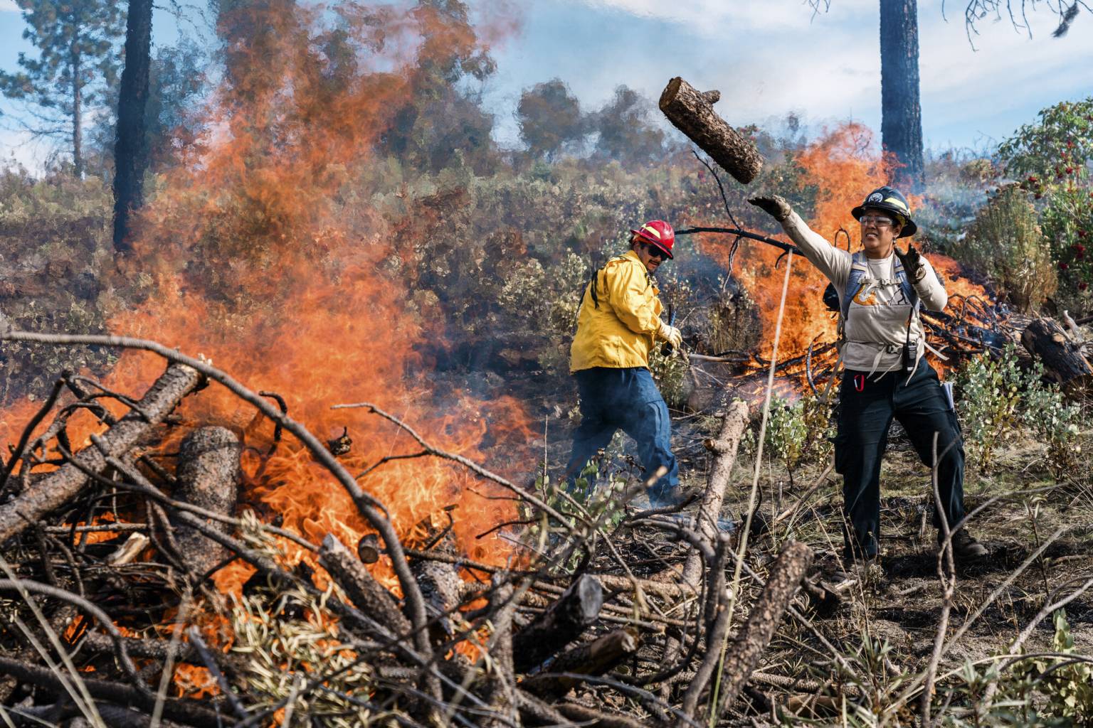 Source-feed image associated with Can Controlled Burns Help With California’s Air Pollution?