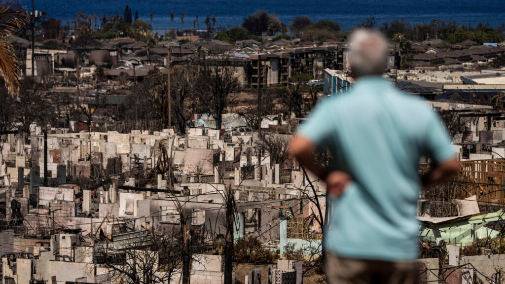 Image from linked report: Risk from toxic metals can persist months after wildfires, Maui study finds