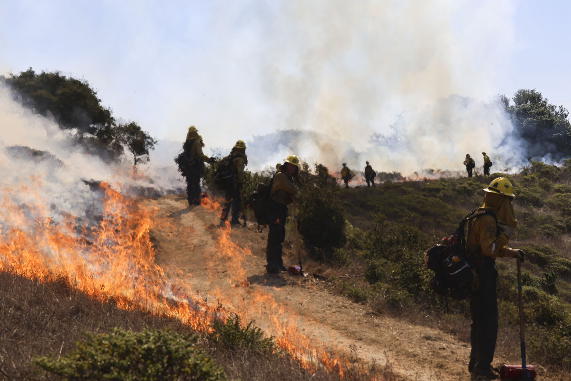Image from linked report: Angel Island Prescribed Burn to Resume This Week
