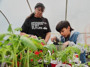 Source-feed image associated with Tribes hope Farm Bill can feed more people and preserve Indigenous culture