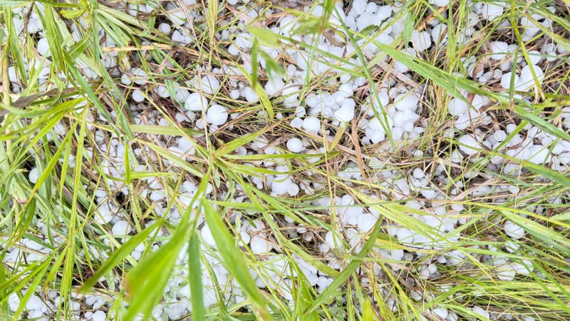 Source-feed image associated with Grapefruit-sized hail may become more common in a warmer world