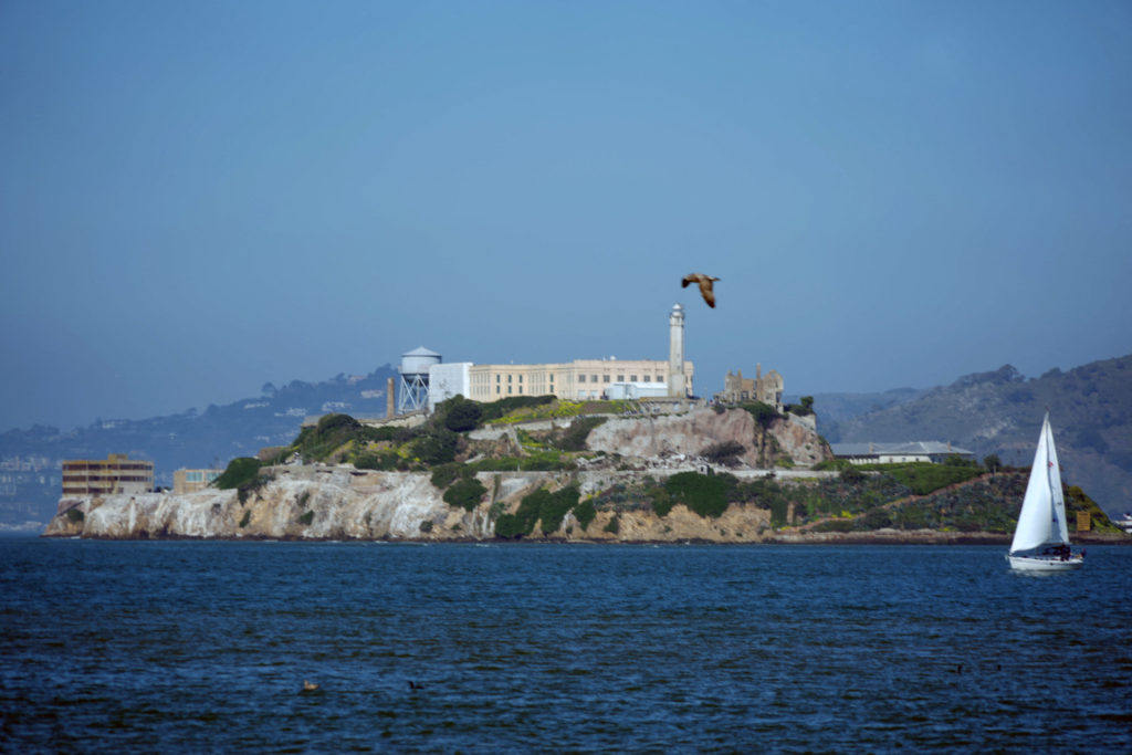 Source-feed image associated with 1 dead, 3 missing after boat carrying mostly family members sinks near Alcatraz Island