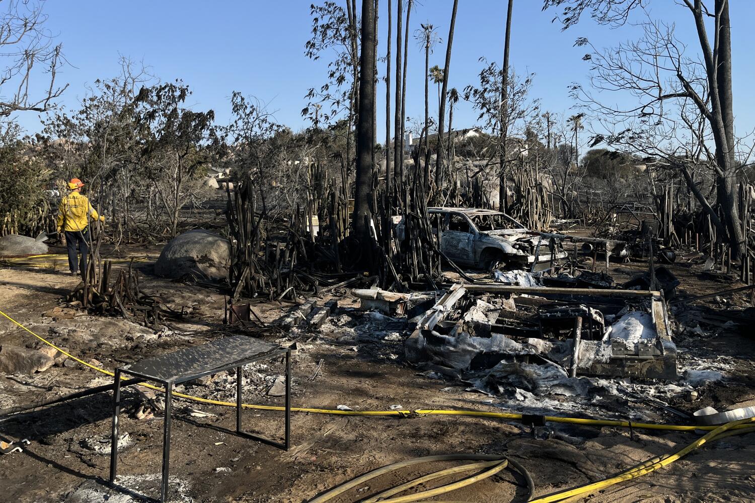 Source-feed image associated with Raging fire burned millions of his bees. But what comes next really worries him