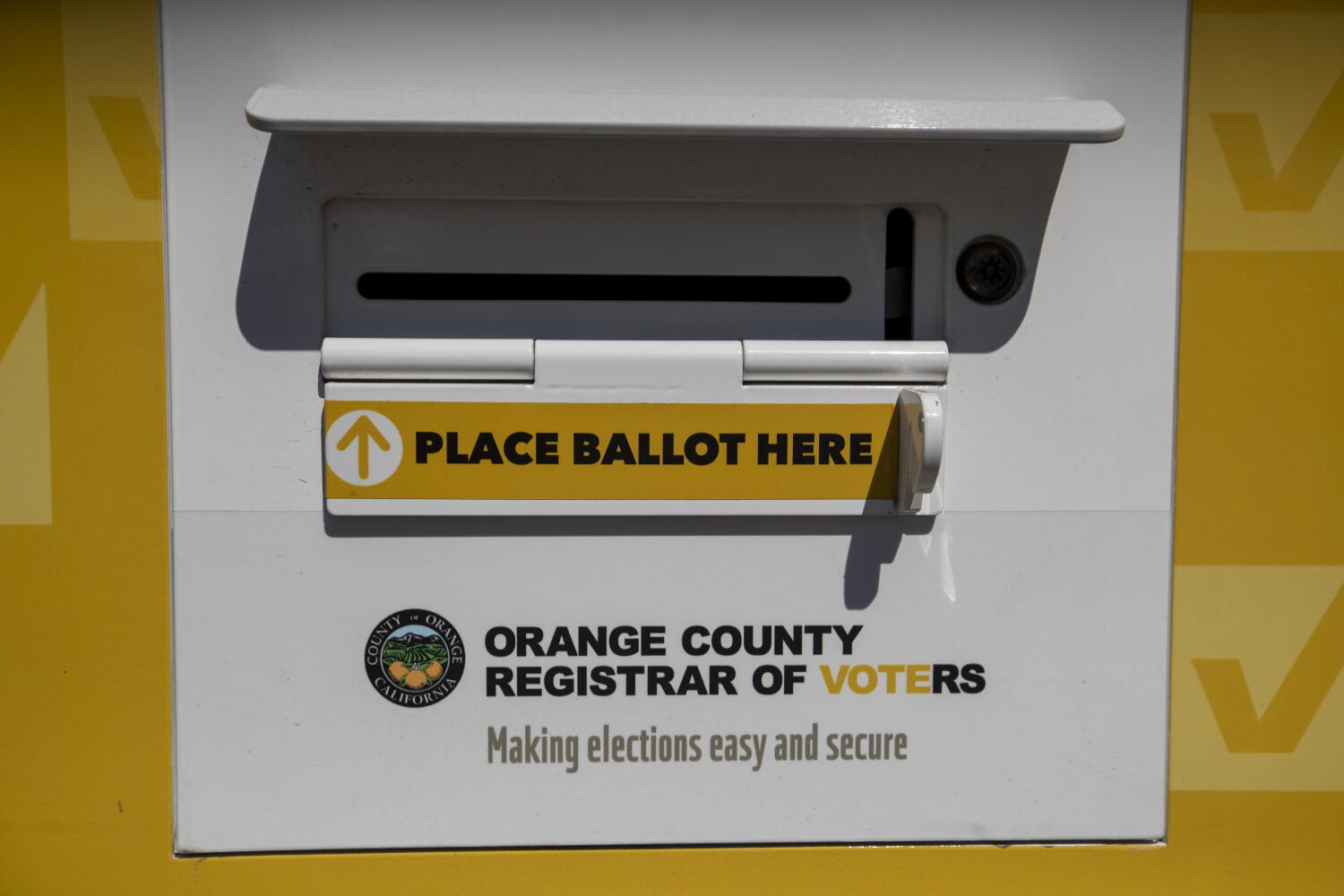 Image from linked report: SoCal woman who registered dog to vote must pay for billboards with her picture on them