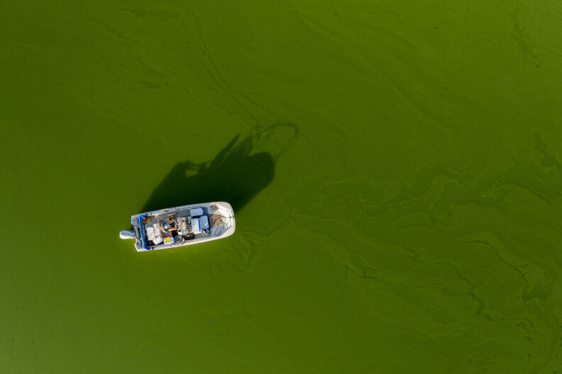Source-feed image associated with Harmful algal bloom shuts down swimming in Riverside County’s Lake Hemet