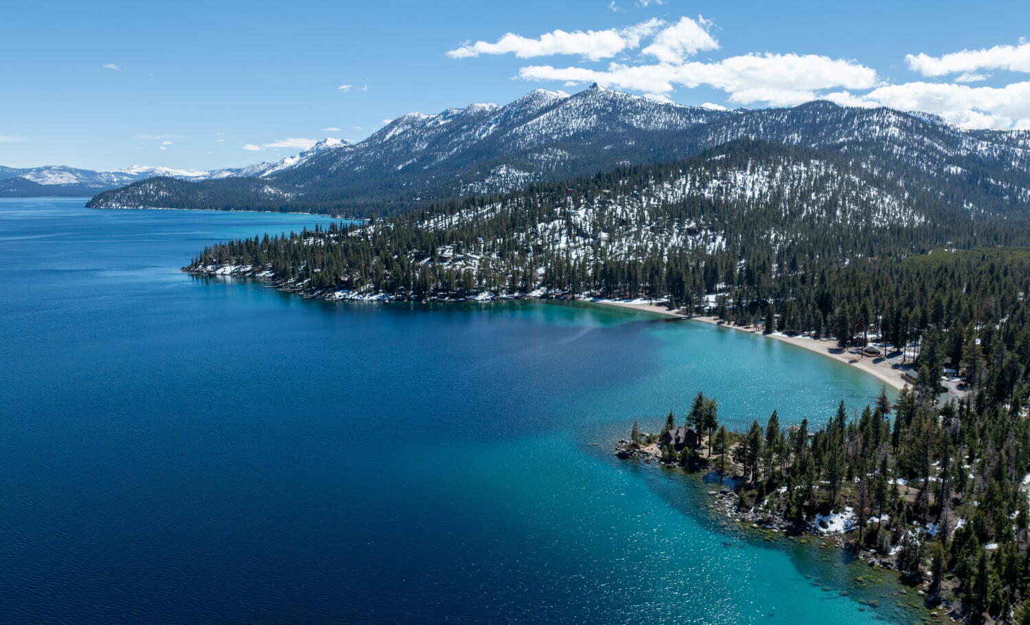 Source-feed image associated with Woman attacked by sea otter at Lake Tahoe was bruised, bloodied but sure one skill saved her