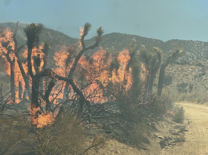 Source-feed image associated with All evacuation orders lifted for Summit Fire in Antelope Valley