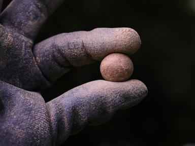 Source-feed image associated with Archaeologists find musket balls and fort linked to the Battle of Bunker Hill