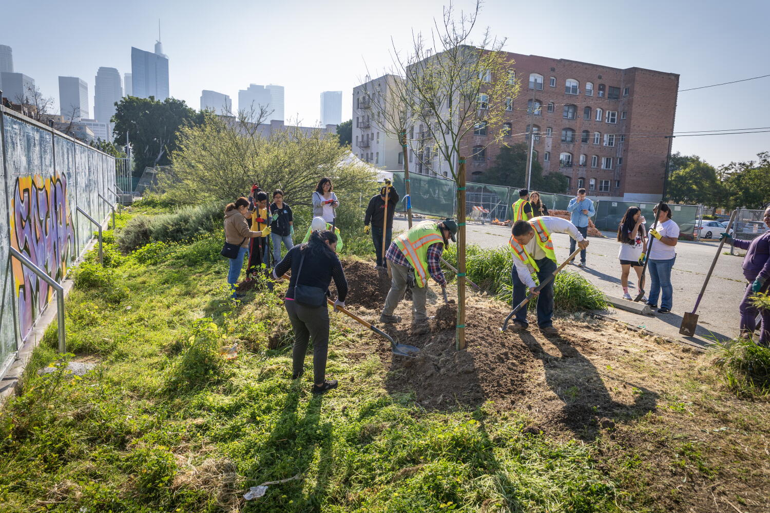 Source-feed image associated with One L.A. school trades asphalt for trees and grass