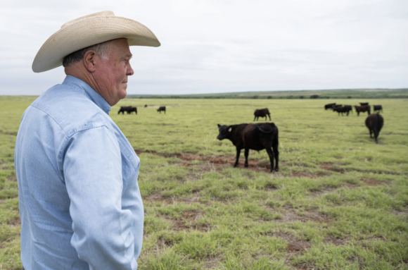 Source-feed image associated with Texas Beef Industry Profits Eaten Away by Threat of Screwworm