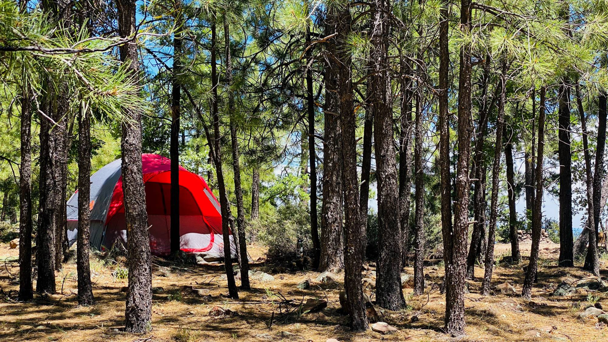 Source-feed image associated with Campsites Are Hard to Get In California. Try Dispersed Camping Instead