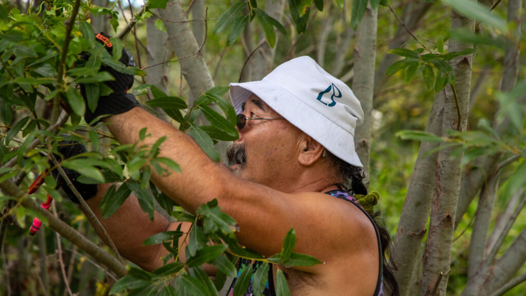 Source-feed image associated with Return of the River Stewards: shelter residents tend to San Lorenzo riverbank ecosystem