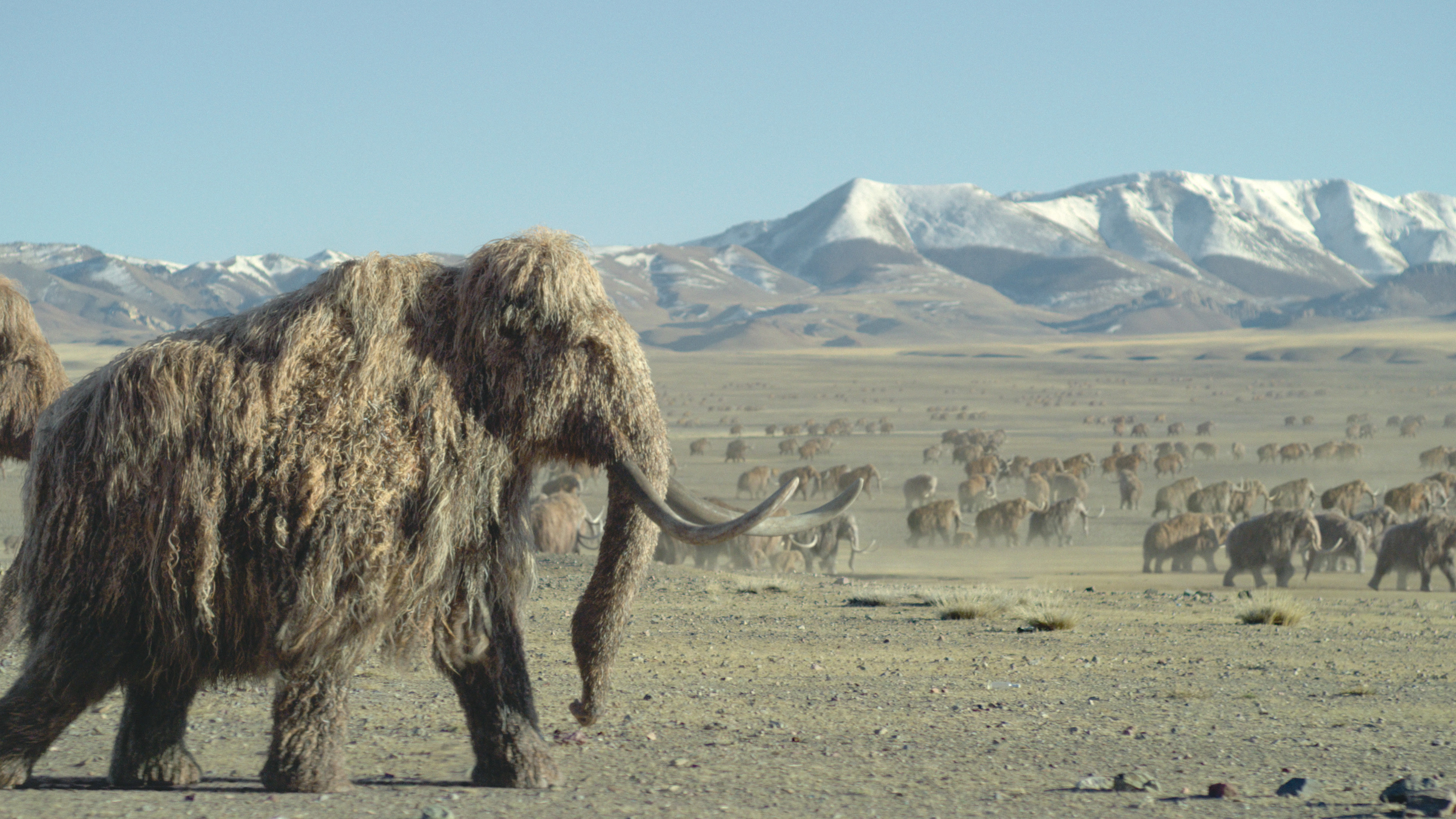 Source-feed image associated with ‘Prehistoric Planet: Ice Age’ Soundtrack Features New Music by Composers Hans Zimmer, Kara Talve and Anže Rozman