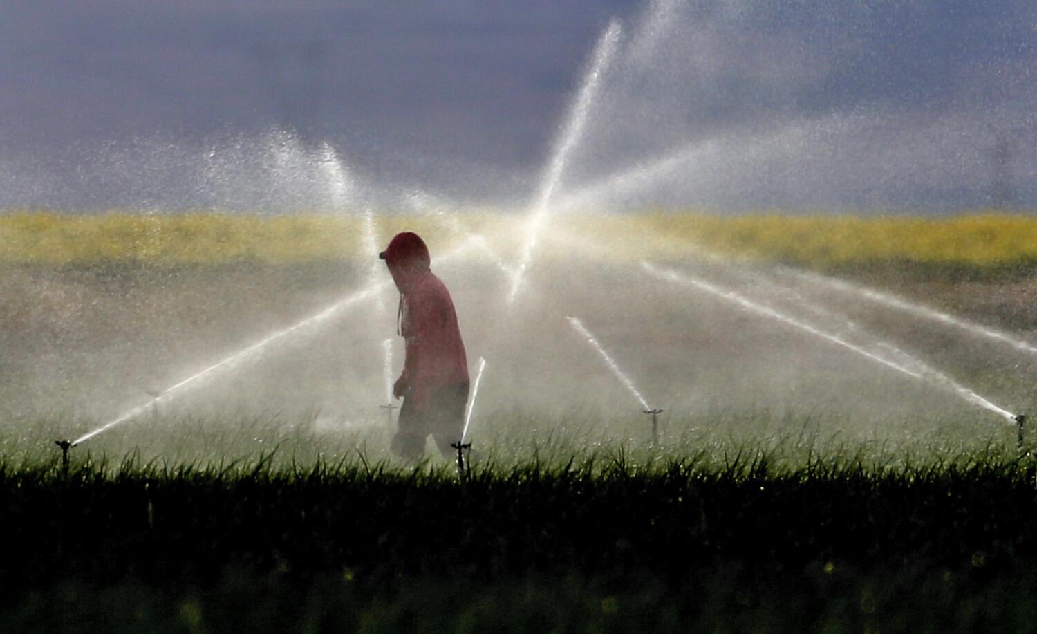 Source-feed image associated with California to phase out paraquat, a powerful weedkiller associated with serious health issues