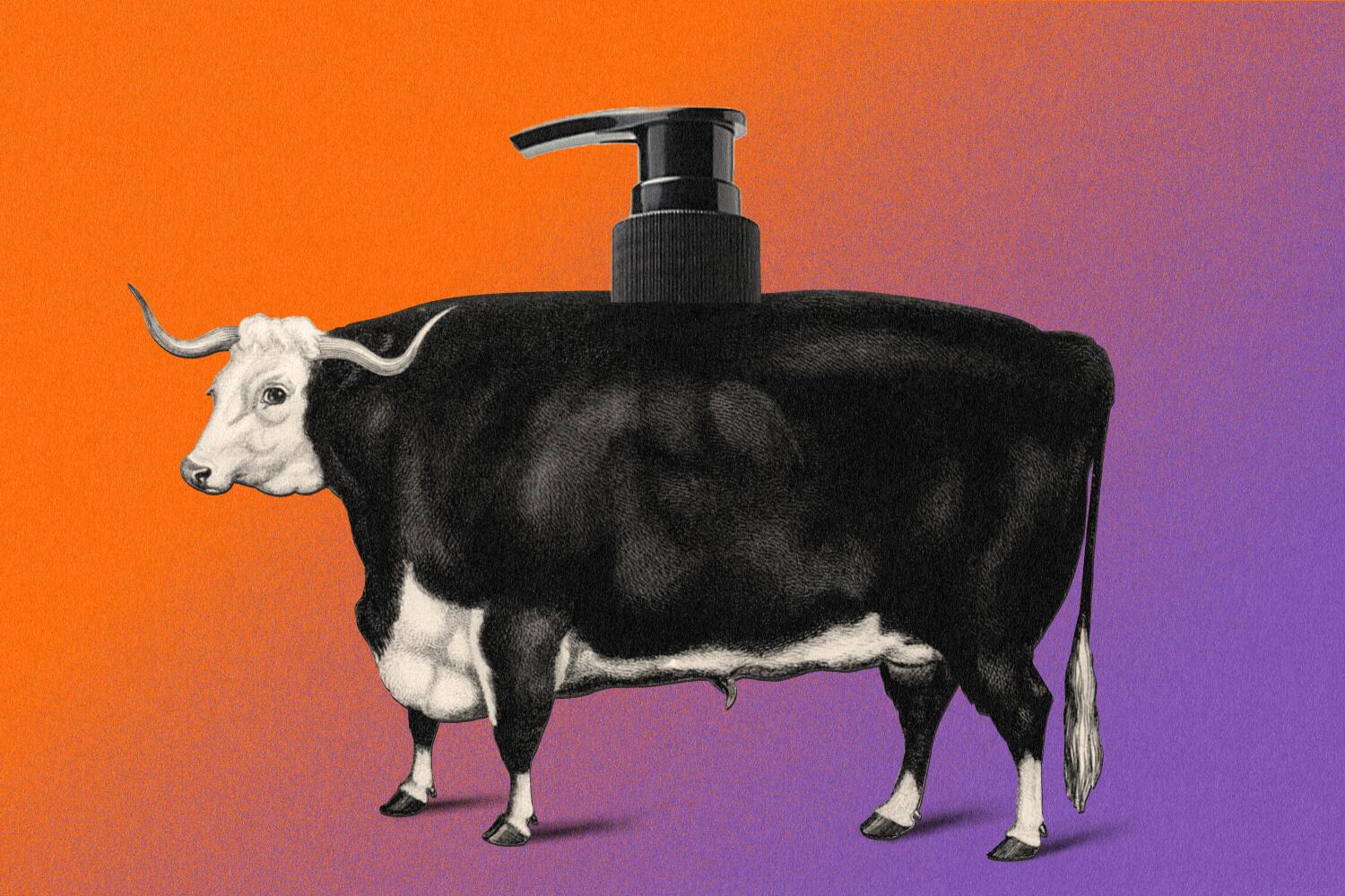Source-feed image associated with What's the deal with ... beef tallow skincare?