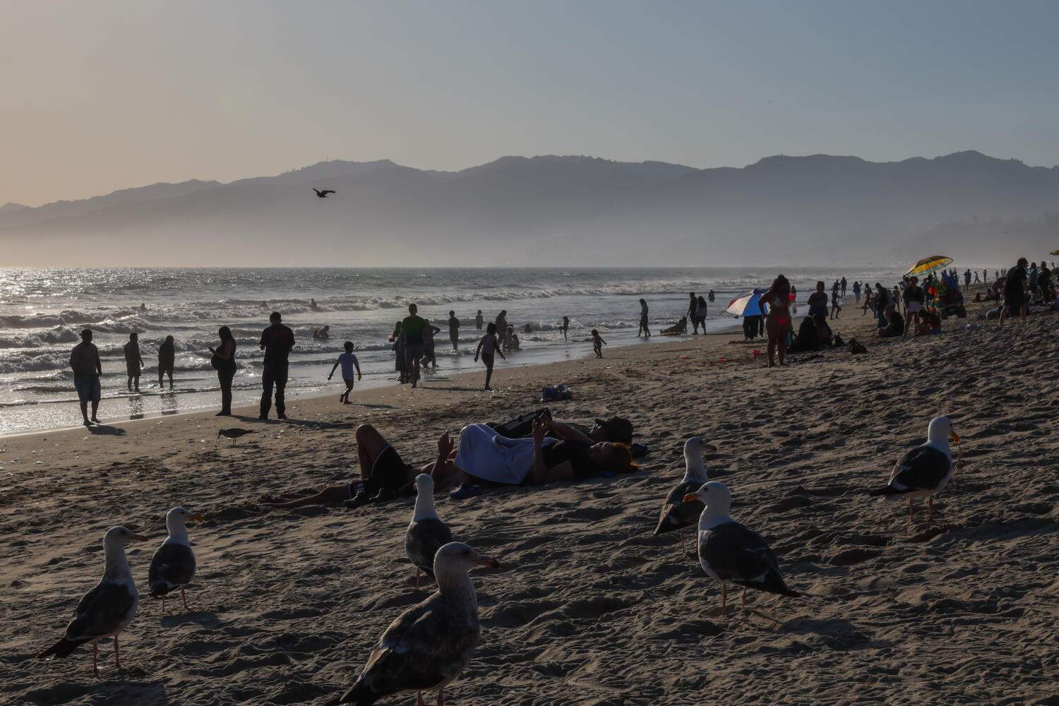 Source-feed image associated with Lopez: Gov. Newsom backs off from shameful gambit, and it's a victory for California coast