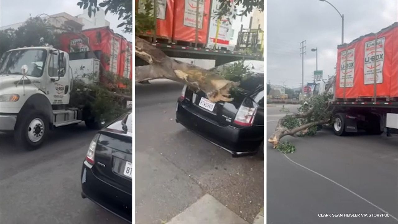 Source-feed image associated with U-Haul hits parked cars with stuck tree limb in North Hollywood, video shows