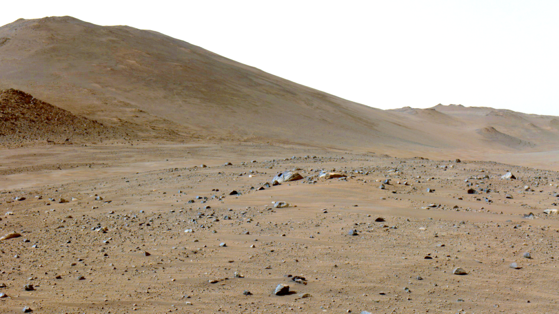 Source-feed image associated with A martian rock has lots of carbon on it, and it's not clear why