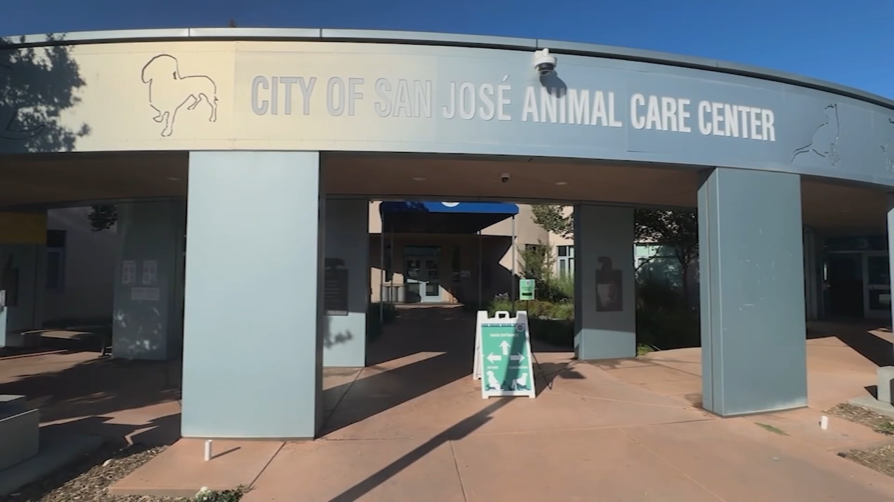 Source-feed image associated with New grand jury report says improvements are still needed at troubled SJ shelter
