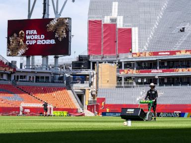 Source-feed image associated with The World Cup pitches are the result of years of engineering to find just the right grass