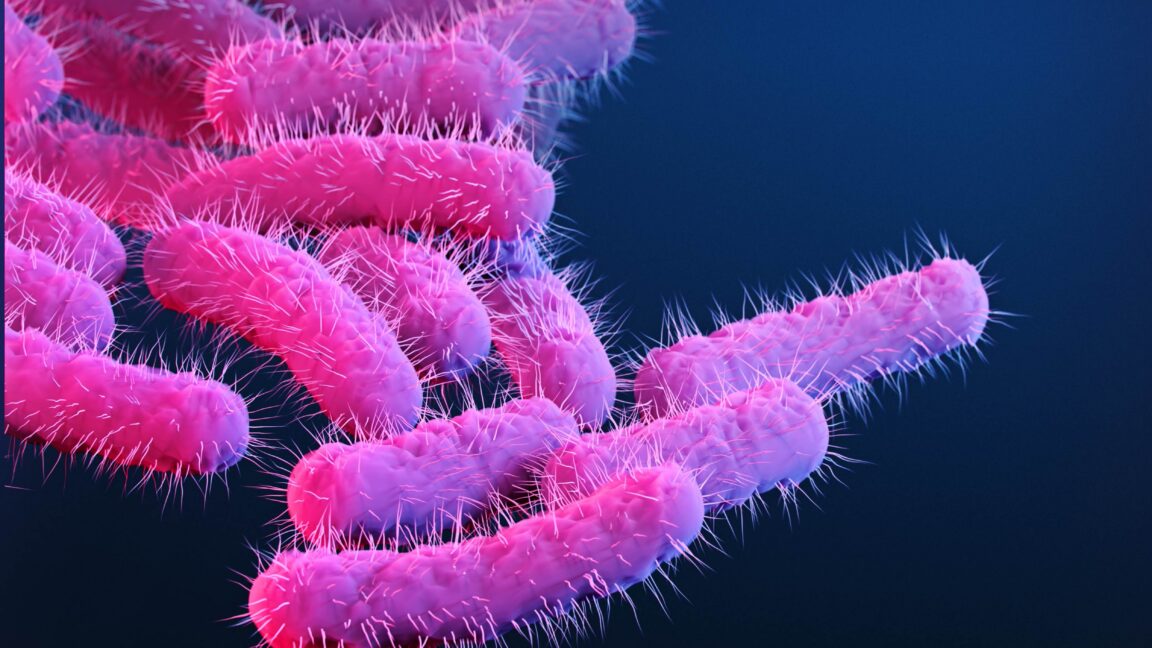 Source-feed image associated with 150 research primates got diarrhea, flooding lab with priceless vaccine data
