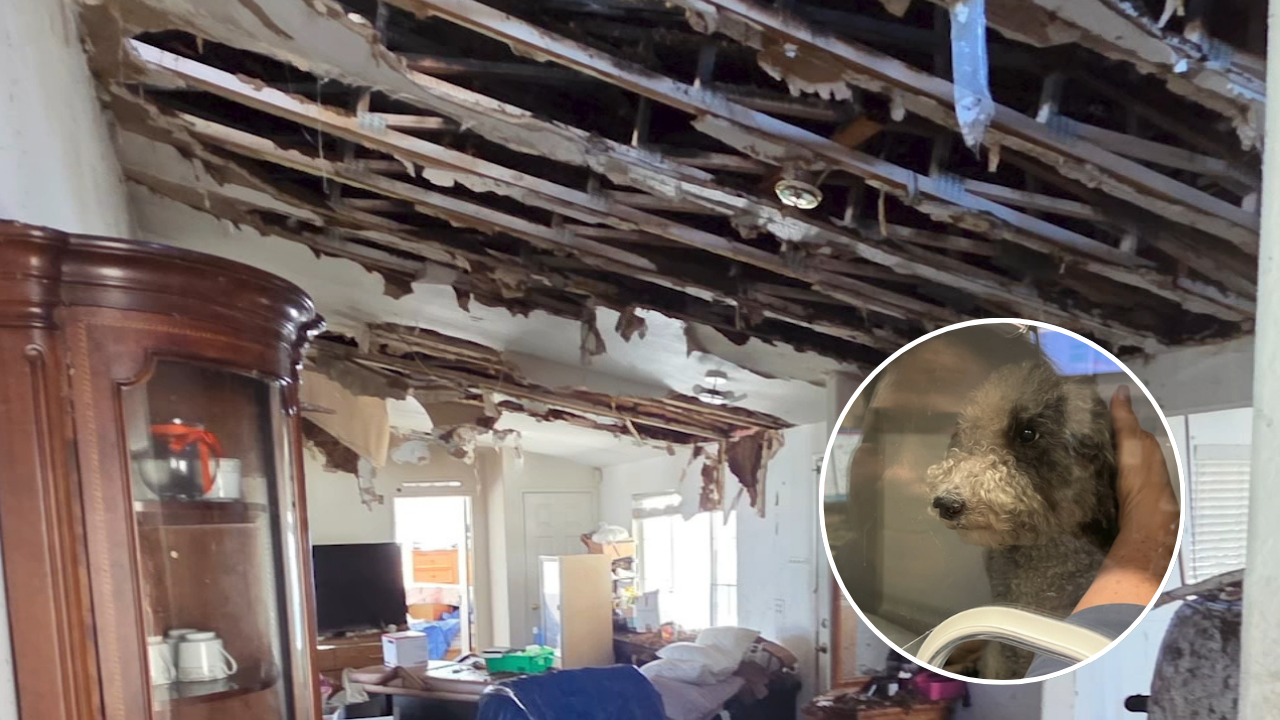Source-feed image associated with San Jose house fire on July 4 leaves family displaced, dog critically injured | How you can help