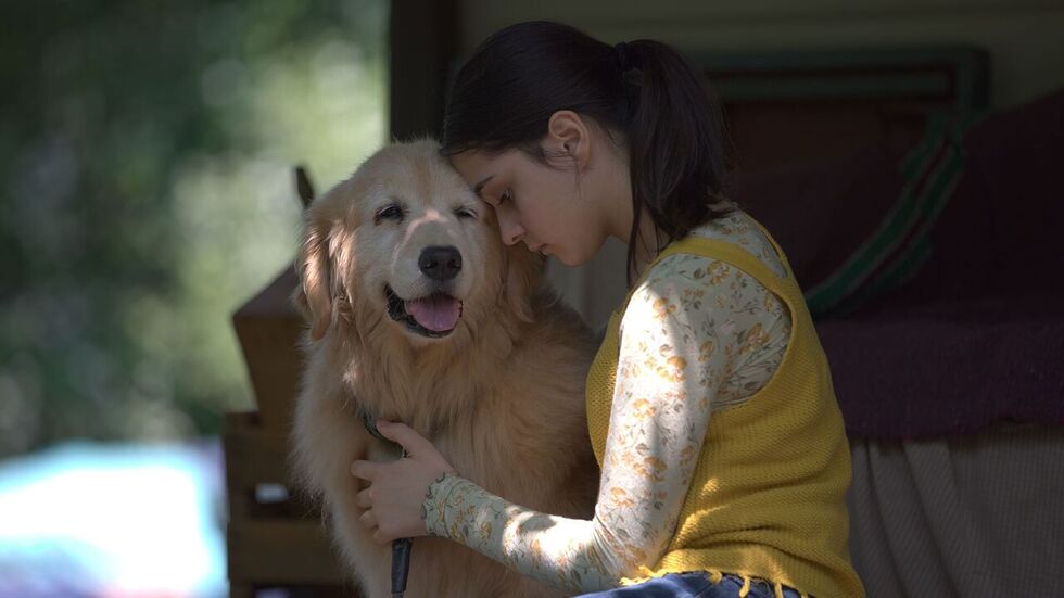 Source-feed image associated with ‘Rain Reign’ Review: A Neurodivergent Girl Learns About Loss and Sacrifice in a Gentle, Family-Oriented Indie