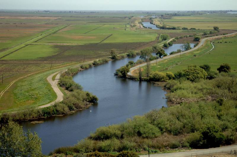 Source-feed image associated with Central Valley Conservation Group Uses Animals to Reduce Invasive Species