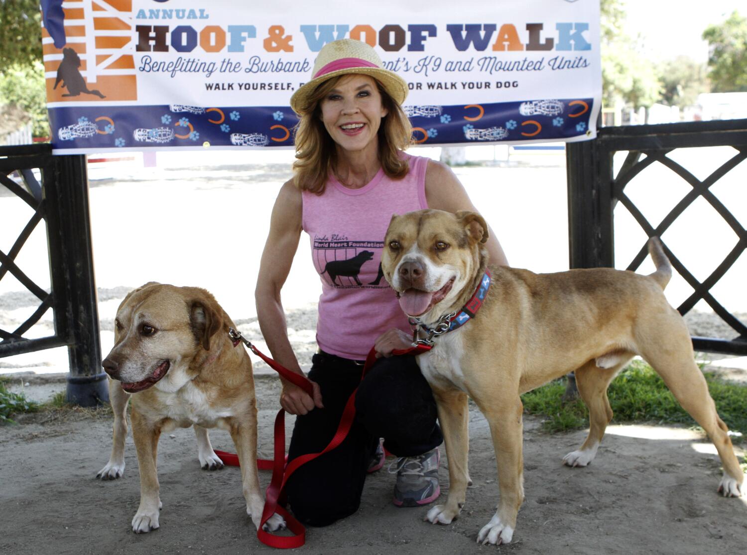Source-feed image associated with 251 dogs found at unlicensed L.A. County kennel run by 'Exorcist' actor Linda Blair