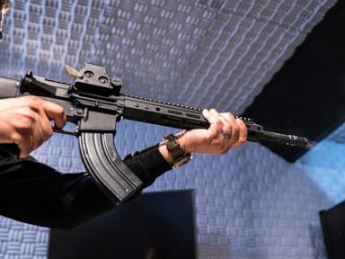 Source-feed image associated with Federal appeals court rules that New Jersey's assault weapons ban is unconstitutional