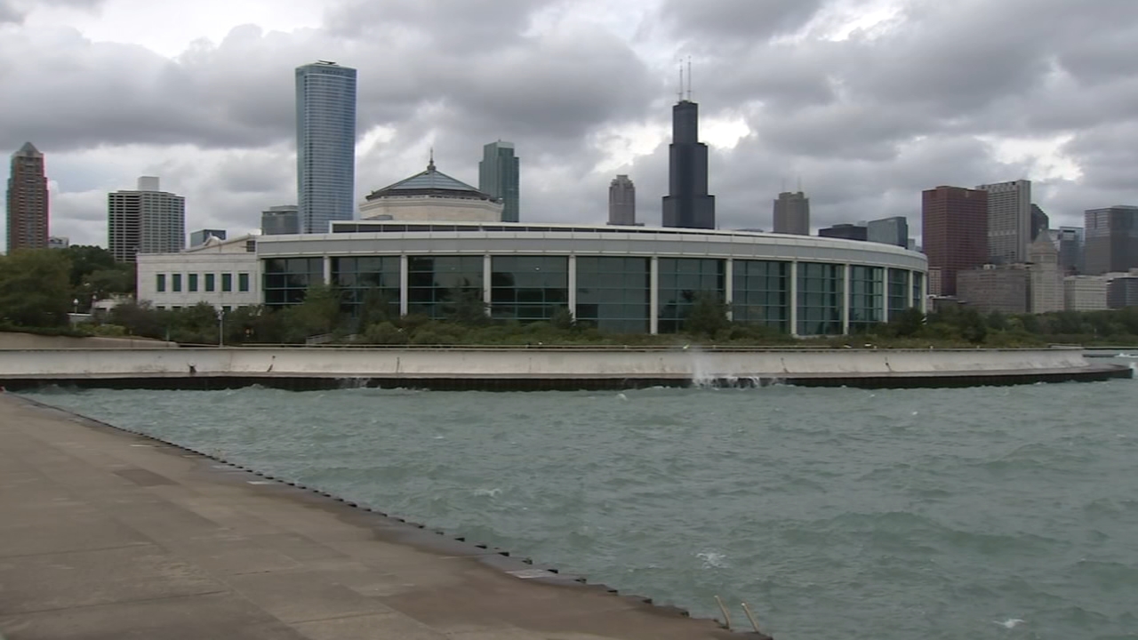 Image from linked report: Questions emerge after 4th beluga death at Chicago's Shedd Aquarium following whale transfers from Canada