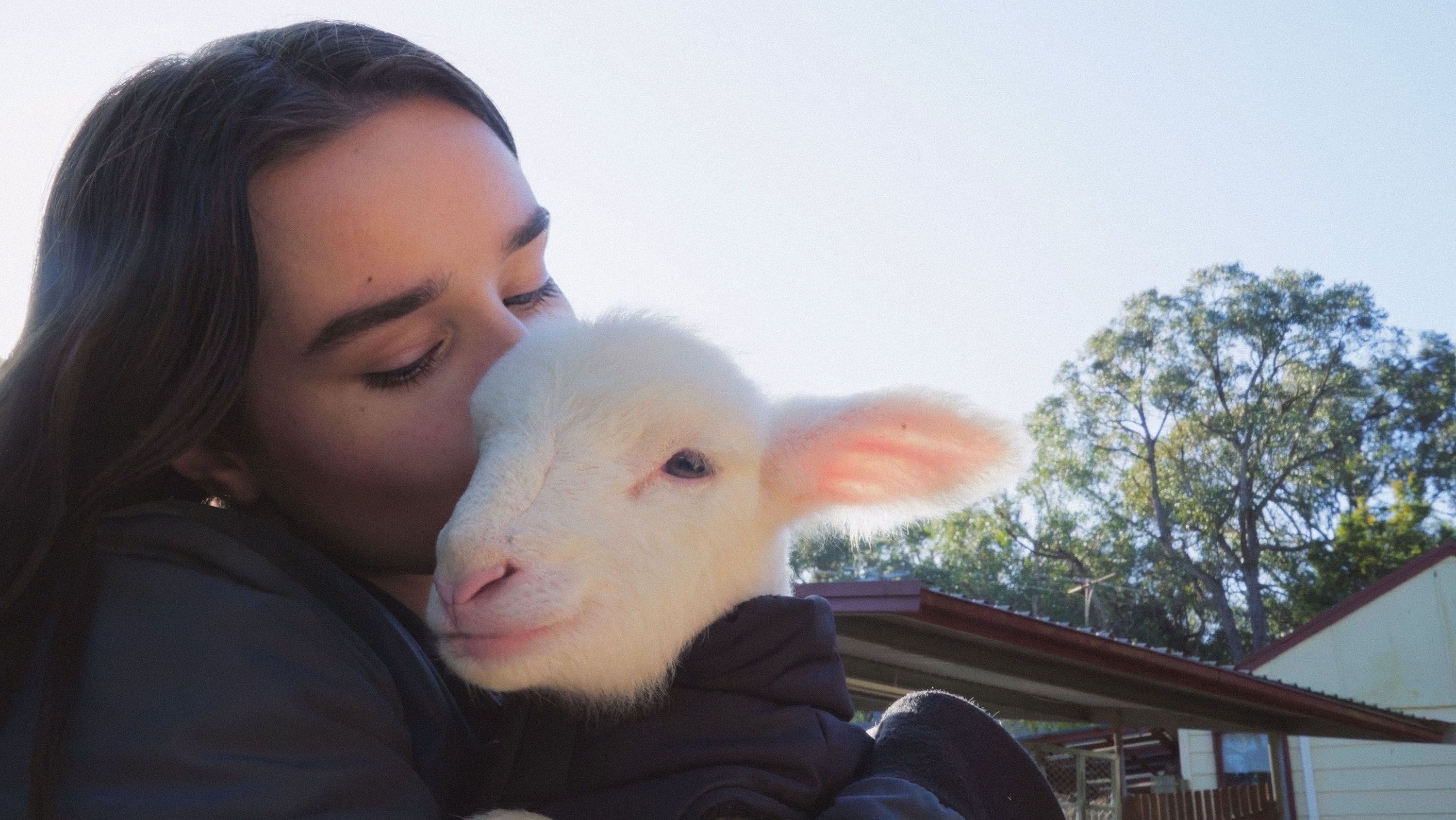 Source-feed image associated with Wondering About Wool? These 5 Films Explain Fashion’s Relationship With the Fiber