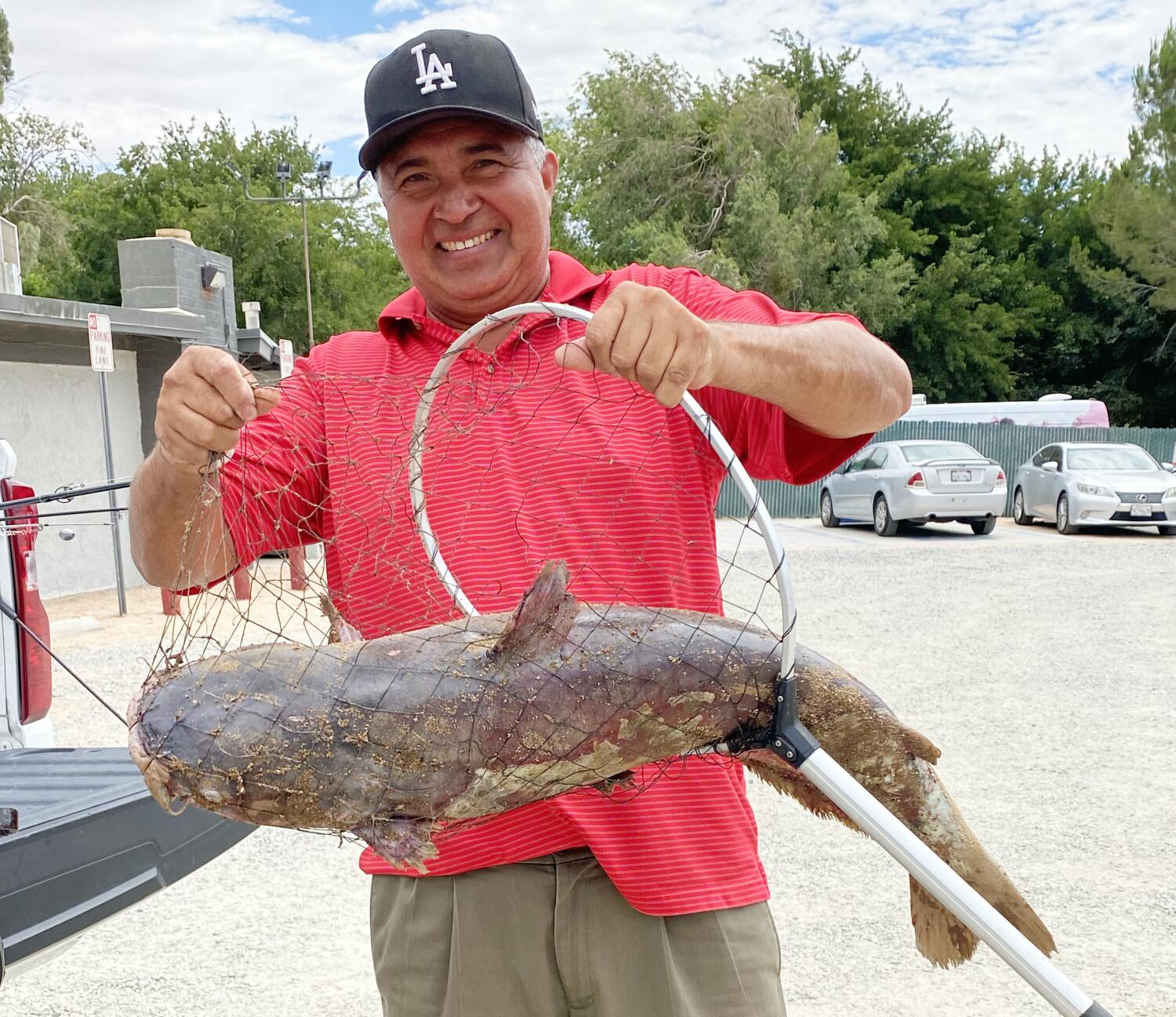 Source-feed image associated with Massive 'scale-breaking' catfish caught in Southern California lake; 'Catzilla' still on the loose