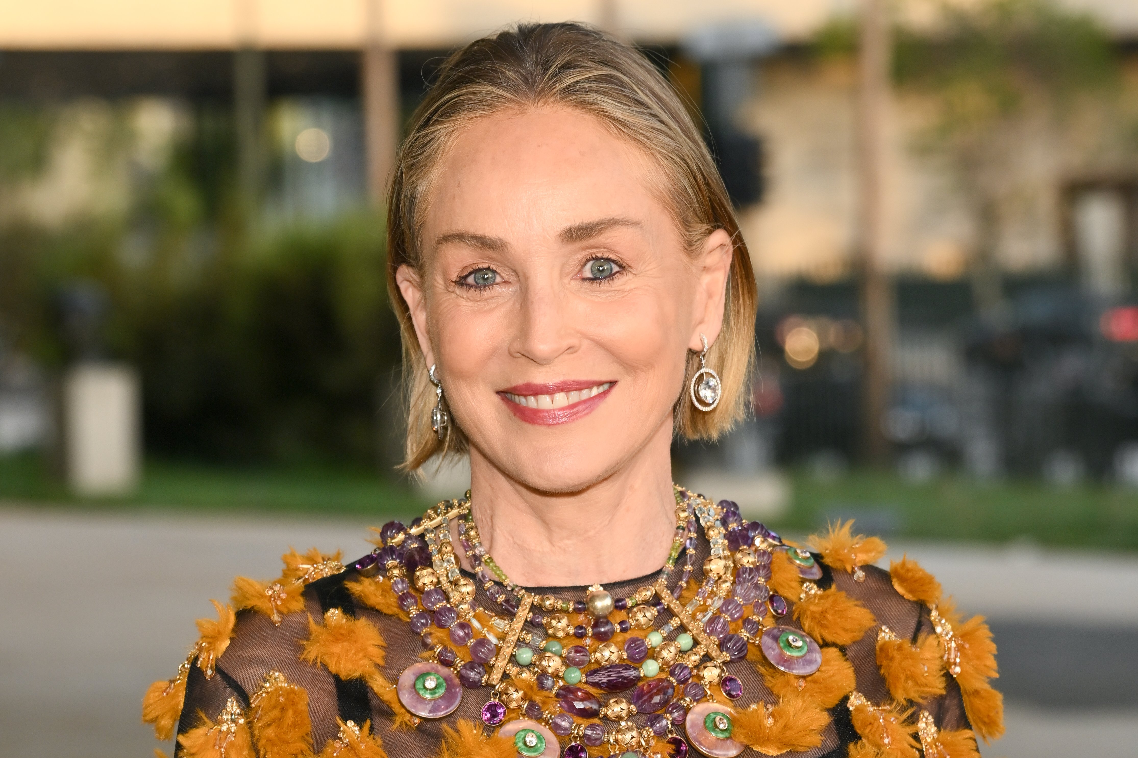 Source-feed image associated with Sharon Stone on Quitting Weed and Stopping a Stroke Medication Despite Doctors’ Orders: ‘It Was Like Going Off of F—ing Heroin’