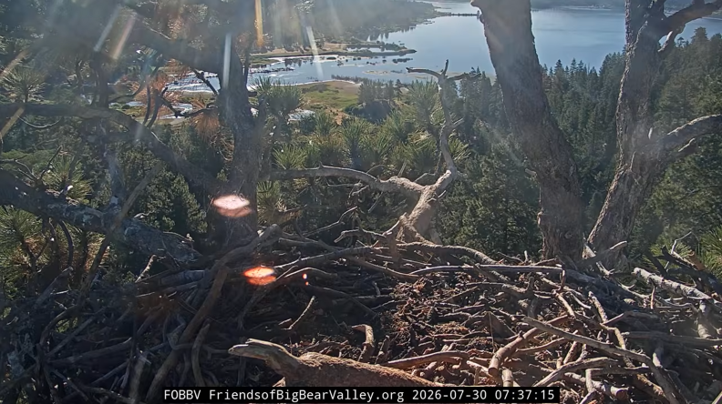 Source-feed image associated with A look at the land bought by Big Bear’s $10 million fundraiser as Jackie recovers