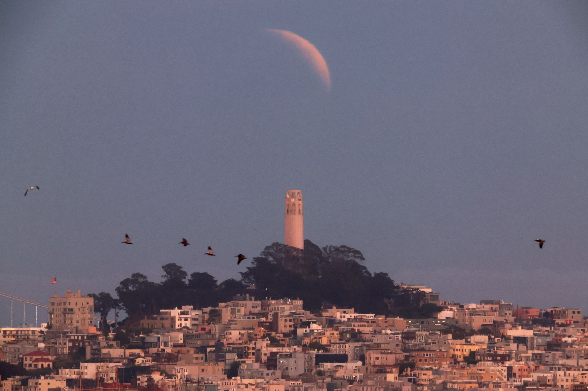 Source-feed image associated with Partial Lunar Eclipse to Bring a ‘Blood Moon’ to the Bay Area Thursday