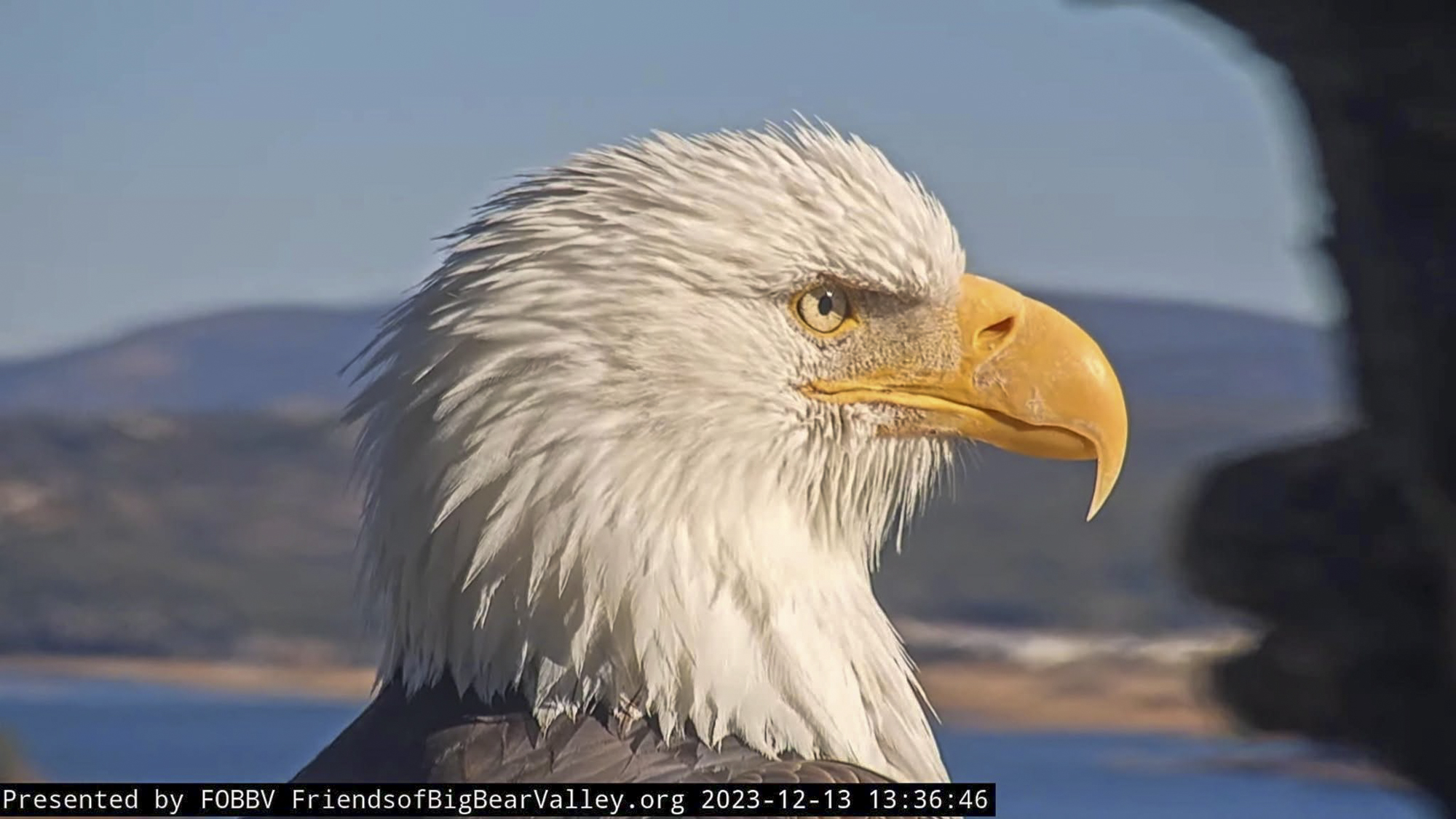 Source-feed image associated with Tourists Still Drawn to Route 66; The Legacy of Jackie the Eagle; Teaching About Cesar Chavez Now