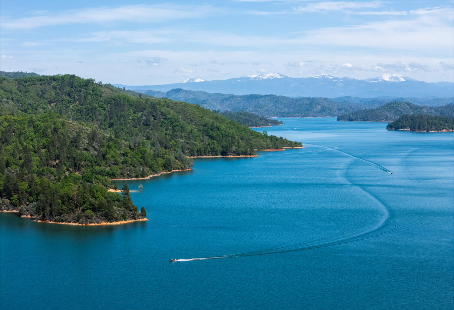 Source-feed image associated with Dog leaps into Shasta Lake and man jumps in to save it. Dog survives, but the man does not