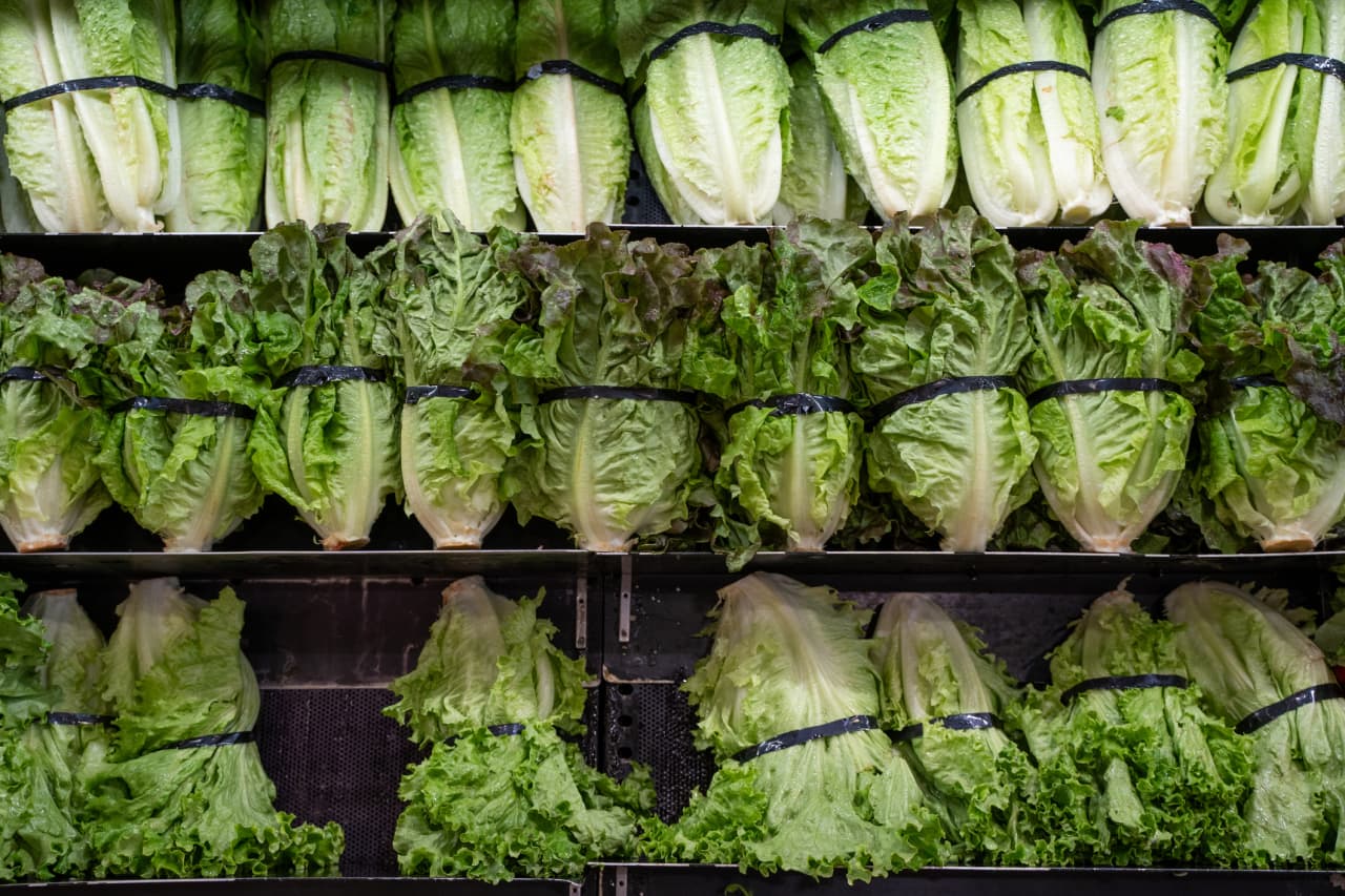 Source-feed image associated with Cyclospora outbreak is linked to two deaths in Michigan as case counts continue to rise