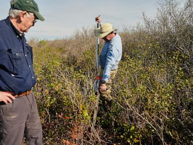 Source-feed image associated with In North Carolina, a race is on to restore critical peatland before it dries up or is destroyed