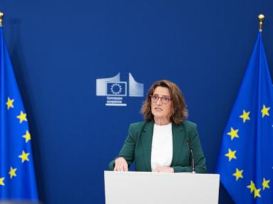 Source-feed image associated with EU orders Meta to restore WhatsApp access for rival AI chatbots