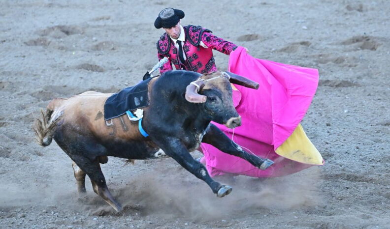 Source-feed image associated with In Artesia, a bloodless bullfight keeps a Portuguese tradition alive
