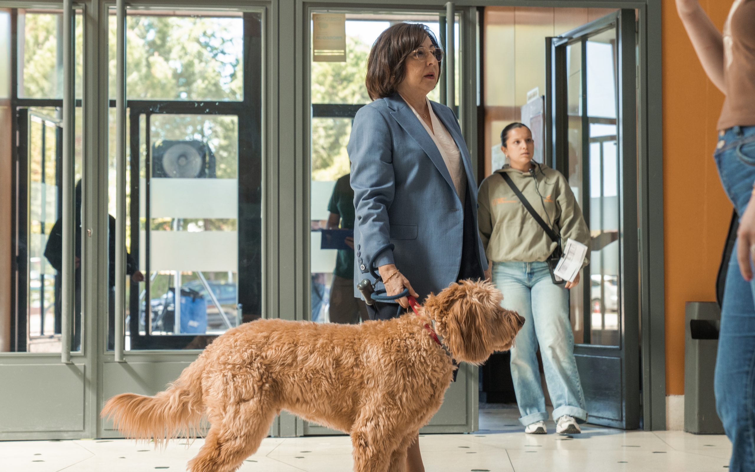 Source-feed image associated with Serielizados Unveils Lineup with ‘Celeste’ Season 2, Hagai Levi, Diane Morgan and the Sánchez-Cabezudo Brothers Series in Competition (EXCLUSIVE)