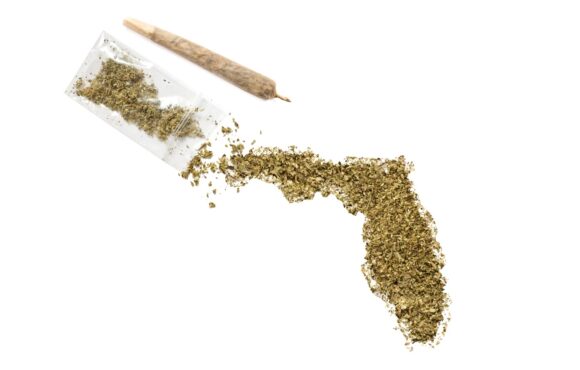 Source-feed image associated with Medical Marijuana Card Does Not Bar Firefighter’s Suspension, Florida Court Says