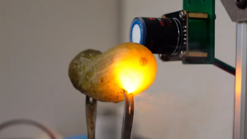 Source-feed image associated with Pickles glow when you plug them in. Science explains why