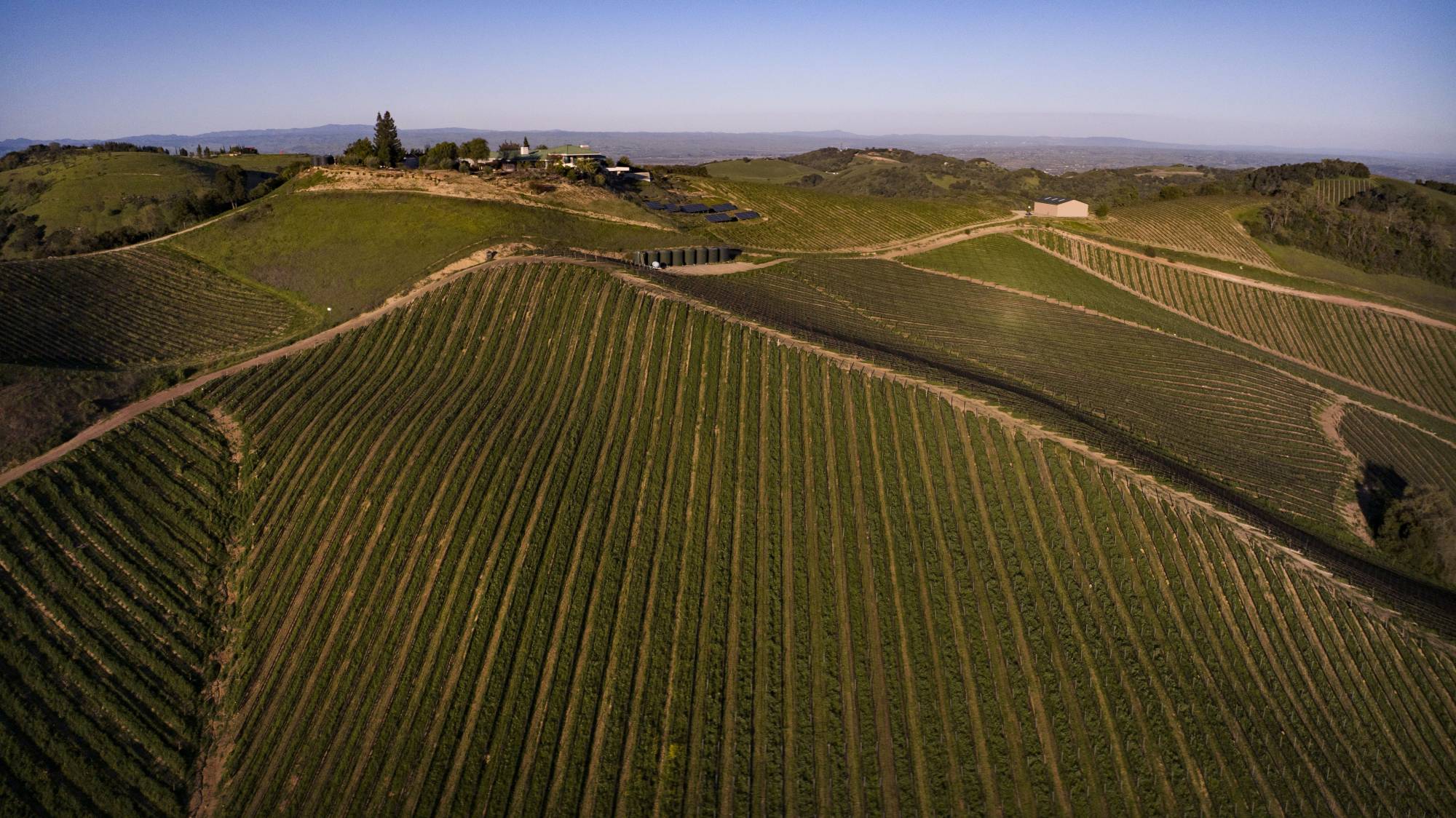 Source-feed image associated with Central Coast Wineries Adjust Business Models to Deal With Downturn