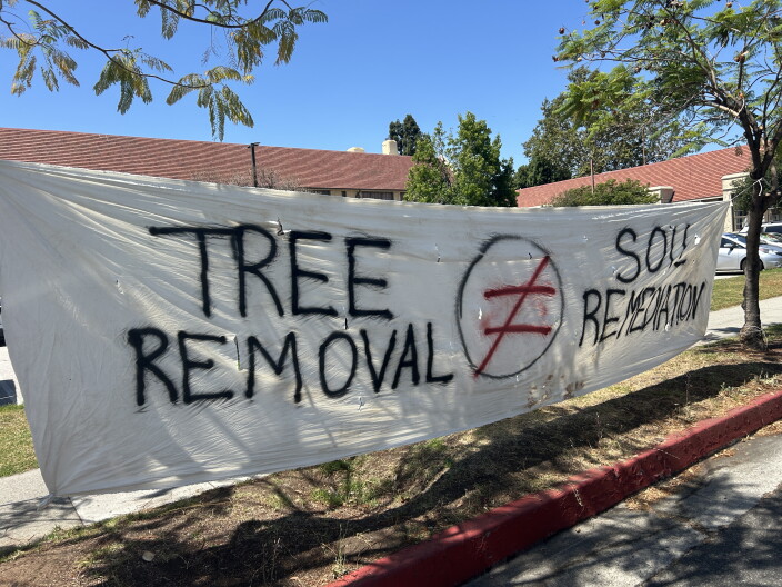 Source-feed image associated with After public outcry, PUSD Board votes to save some trees slated for removal